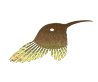 Rolling colour effect