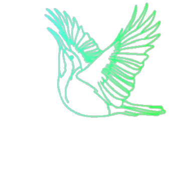 Flying Eastern Spinebill