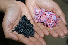 Photo of someone holding shredded banknotes.